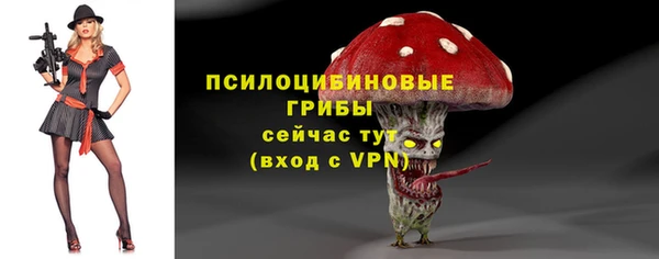 прущий лед Верея