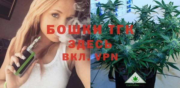 прущий лед Верея
