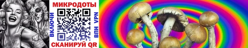 Галлюциногенные грибы Cubensis  Купить где  Белокуриха 